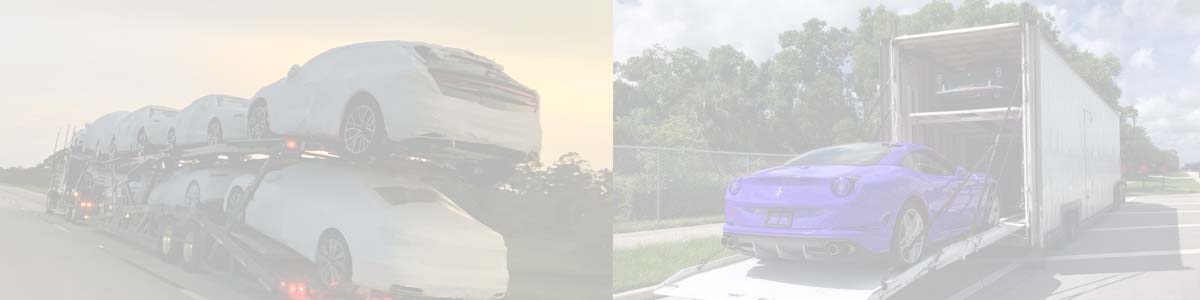 pen or enclosed shipping professional auto shippers